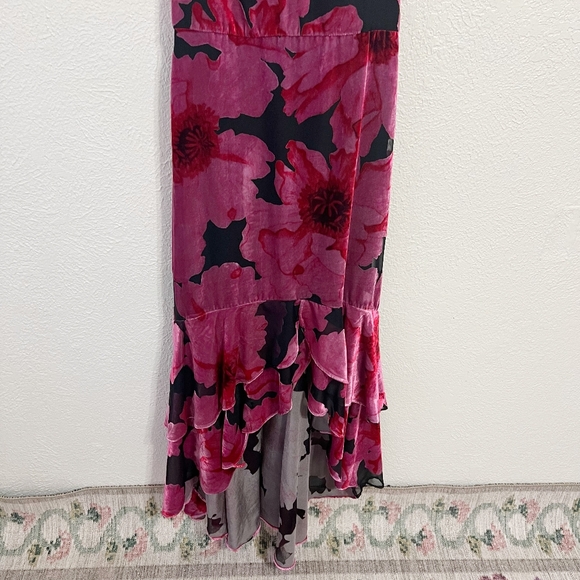 NWT Hutch Royce Floral High Low Velvet Burnout Dress - Picture 5 of 9